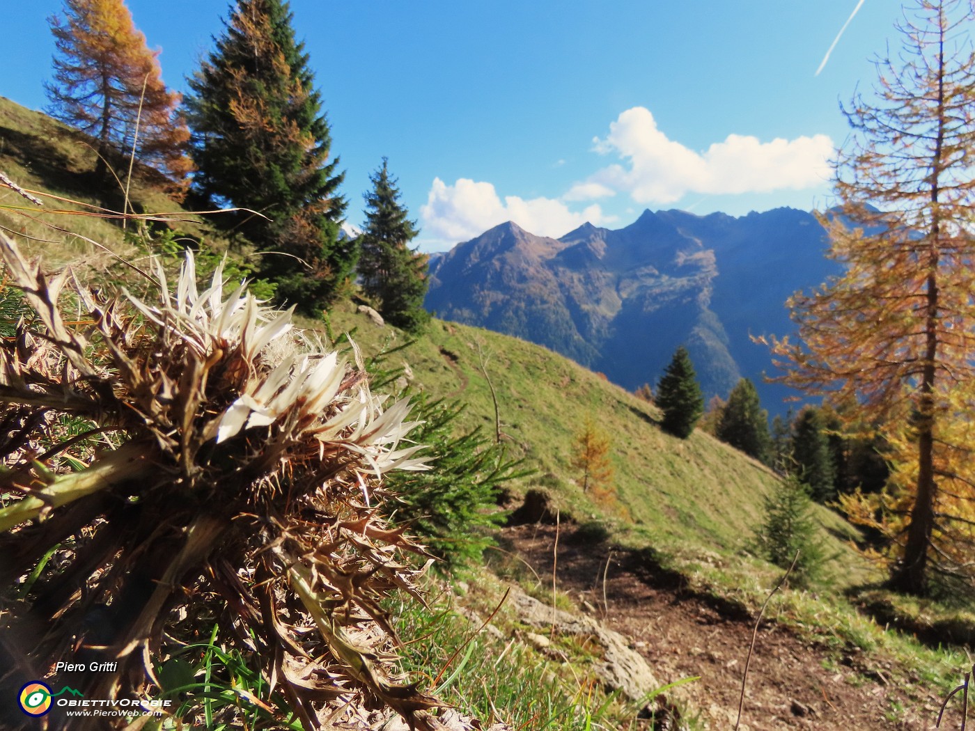 21 Spettacolo di panorami e di larici colorati d'autunno.JPG